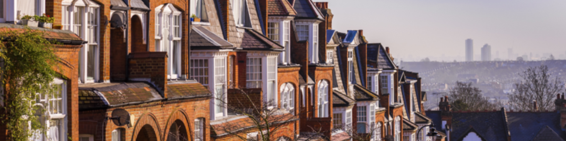 red brick houses, a distant skyline